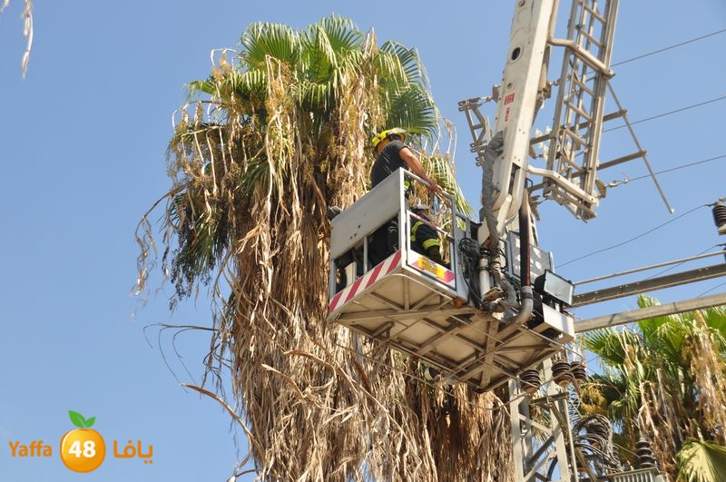 cat lud 910 (11).JPG